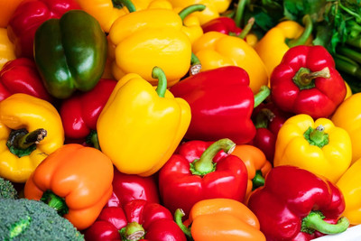 KNESSiN Heat Tolerant Mixed Bellboy Capsicum Vegetable Seeds For Gardening-(200 Seeds) Seed(200 per packet)