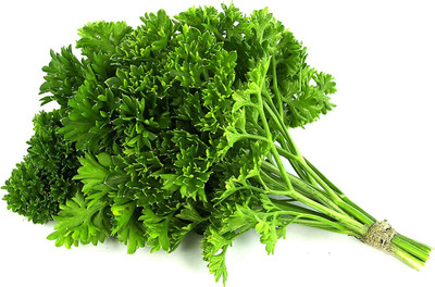 VibeX VVI-21 - Parsley Triple Moss Curled - (2250 Seeds) Seed(2250 per packet)