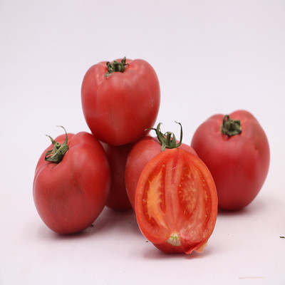 VRAKSHA ORGANIC TOMATO Red Tomato Seed(200 per packet)