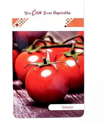 CYBEXIS Tomato Hybrid2000 Seeds Seed(2000 per packet)