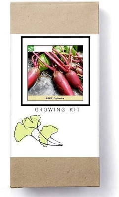 Biosnyg Cylindra Beetroot Seed(250 per packet)