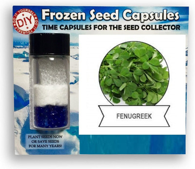 Cloud Farm ™ Metha,Fenugreek Frozen Seeds Time Capsule(400 Seeds) Seed(400 per packet)