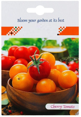 CYBEXIS Cherry Tomato Hybrid Seeds2000 Seeds Seed(2000 per packet)