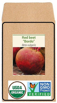 CYBEXIS Hybrid Seeds-Red Beetroot2000 Seeds Seed(2000 per packet)