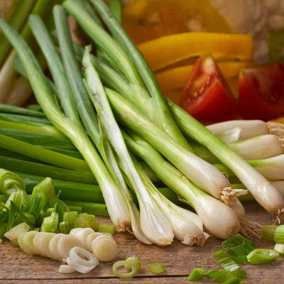 XOLDA Organic bunching onion Seed(15 per packet)