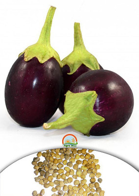 the green dotcom Brinjal Round - Bhaingan, Venkaaya, Badane Seed(100 per packet)