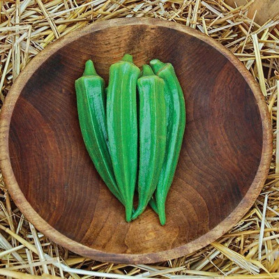 Quentova Okra Clemson Spineless-CIAR-9Y Seed(150 per packet)