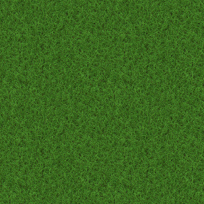 SeeGreen Carpet grass seeds for home garden, lawn grass seeds for home garden Seed Seed(16000 per packet)