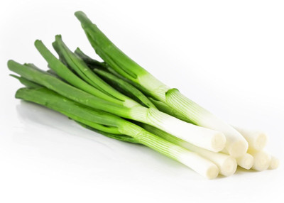 Qualtivate HYB-2A Leek/Green Onion Seeds Seed(500 per packet)
