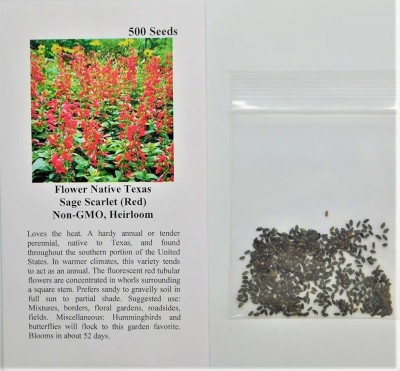 VibeX GBPUT-61 - Sage Scarlet (Red) - (450 Seeds) Seed(450 per packet)