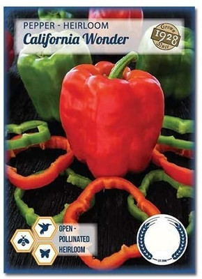 KNESSiN Capsicum California Wonder Seed(50 per packet)