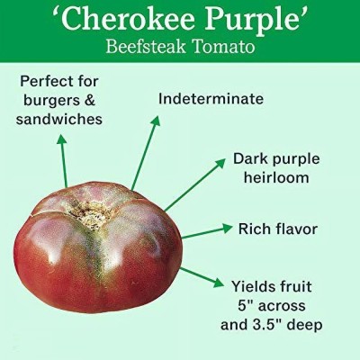 Quentova Cherokee Purple Tomato 10gm Seeds Seed(4000 per packet)