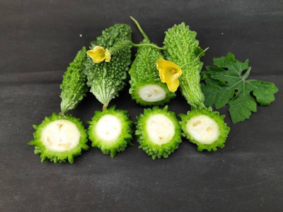 AFARTIOBINA 49 Pc Bitter Gourd/Karela/Bitter Melon Gardebnibg Vegetable Seed(49 per packet)