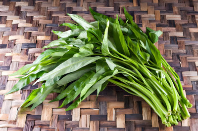 seedito Spinach Seeds For Home Garden/Malabar Spinach Seeds Seed(90 per packet)