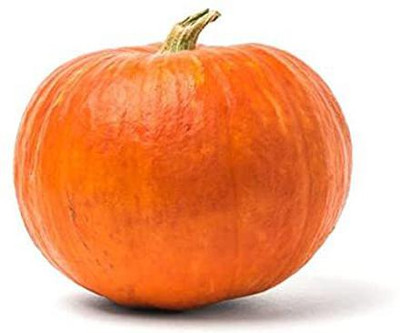 CYBEXIS VVI-89 - Pumpkin Halloween (Winter Squash) - (900 Seeds) Seed(900 per packet)