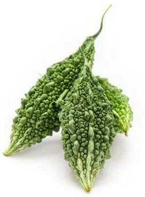 Oliver F1 BEST QUALITY BITTER GOURD SEEDS Seed(18 per packet)