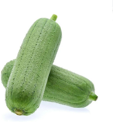 UGRA Gourd Luffa Cylindrica Seed(80 per packet)