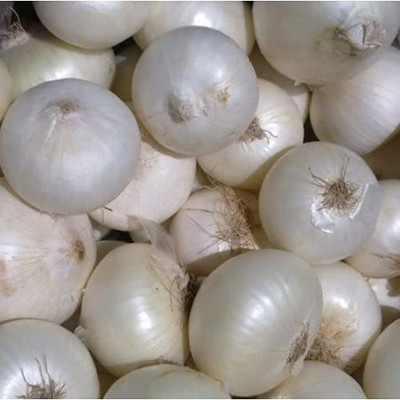 KANAYA Onion White Kanda Vegetable Seed(10 per packet)