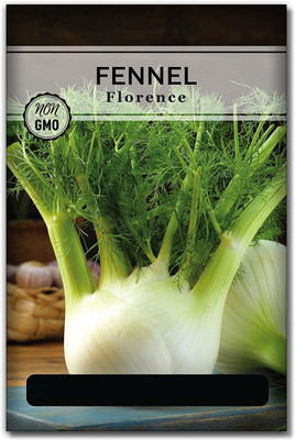 WILLVINE Non-GMO Hybrid Fennel Seeds for Planting Seed(2000 per packet)