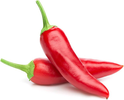 Biosnyg Hybrid Hot Tabasco Chilli Seeds For Kitchen Gardening-(4000 Seeds) Seed(4000 per packet)
