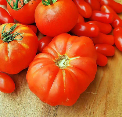 CYBEXIS Beefsteak Tomatoes1000 Seeds Seed(1000 per packet)