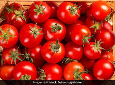 XOLDAA kashmiri hybrid tomato seeds Seed(70 per packet)