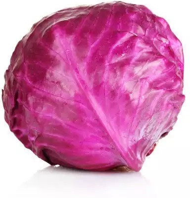 MYLAWN Cabbage Red Acre Giant Seed(100 per packet)