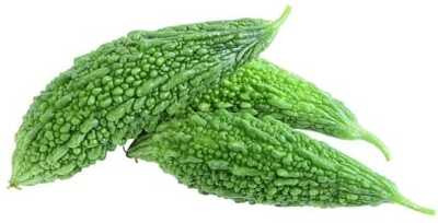 XOLDAA F1 BEST QUALITY BITTER GOURD SEEDS Seed(25 per packet)