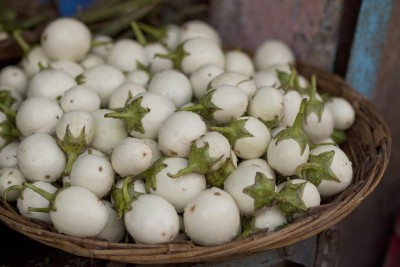 ASPEN White Brinjal Seeds | Vellai Katharikai Seed(75 per packet)