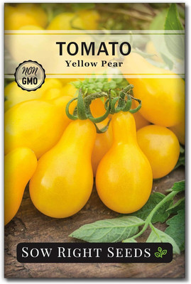 Qualtivate HYB-2A Yellow Pear Tomato Seed(300 per packet)