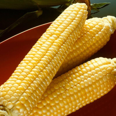 LPR BUTTA , SWEET CORN Seed(50 per packet)