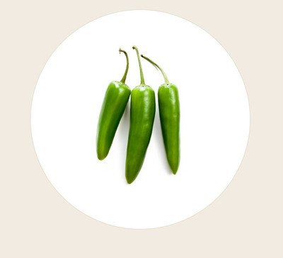 Quentova High Quality Green Chilli हरी मिर्च-22L-NST Seed(250 per packet)