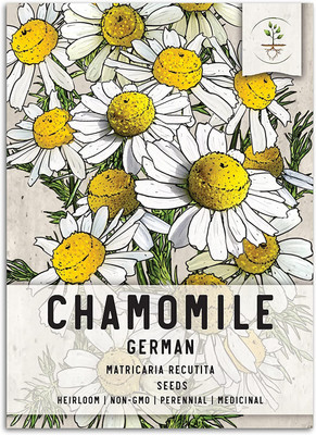 VibeX LX-81 - German Chamomile Herb - (750 Seeds) Seed(750 per packet)