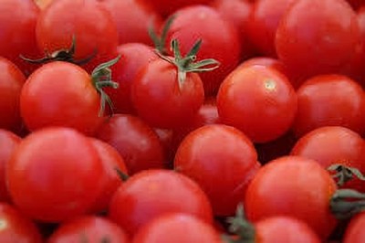 Oliver HYBRID F1 QUALITY TOMATO SEEDS Seed(50 per packet)