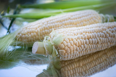 Qualtivate PUA-3A Japanese Hulless Popcorn Seed Seed(400 per packet)