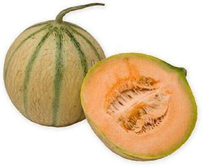 Cloud Farm RES-8A Hybrid Kharbuj / Musk Melon Seed Seed(200 per packet)