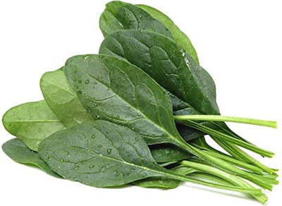KANAYA Palak Seeds For Home Garden Seed(200 per packet)