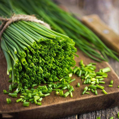 CYBEXIS Chive Leek Seeds Strong Aroma Non-GMO Pure Natural Green2800 Seeds Seed(2800 per packet)