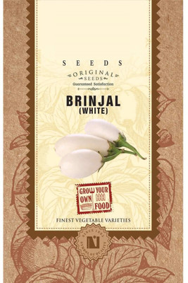 CRGO ® HAU-648-White Brinjal Seeds Seed(300 per packet)