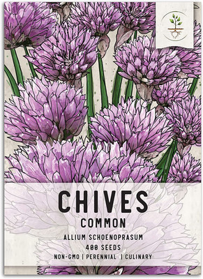 CYBEXIS LX-30 - Garden Chives Green - (2250 Seeds) Seed(2250 per packet)