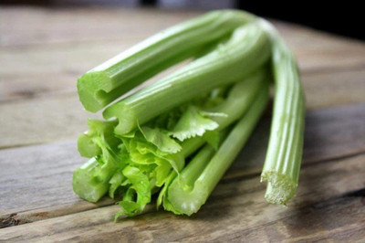 CYBEXIS VXI-36 - Celery Tall Utah - (250 Seeds) Seed(250 per packet)