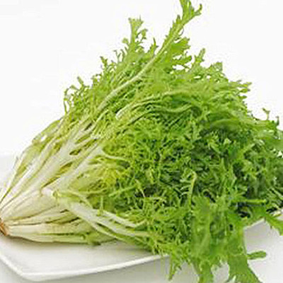 CYBEXIS Lettuce Seeds Grow Your Own Garden1000 Seeds Seed(1000 per packet)