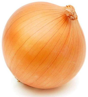 KNESSiN Onion/Kanda Seeds (Orange) Seed(300 per packet)