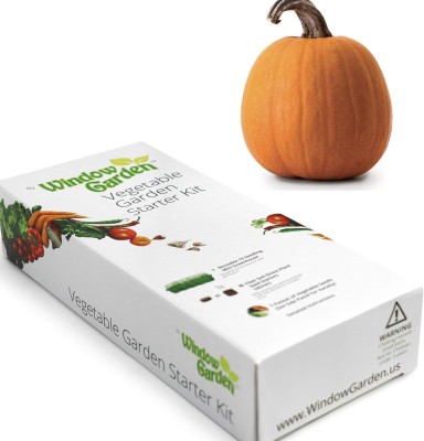 Qualtivate XL-461 Pumpkin Vegetable Starter Kit Seed(50 per packet)