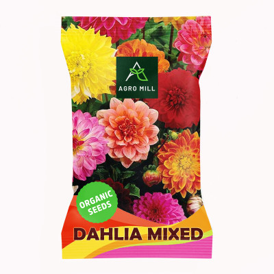 AGRO MILL DAHLIA MULTIFLORA DOUBLE MIXED PREMIUM QUALITY FLOWER Seed(20 per packet)
