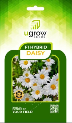 U-GROW INDIA UGROW INIDA F1 HYBRID DAISY: COLORFUL BLOOMS WITH UNIQUE PETAL PATTERNS DAISY Seed(40 per packet)