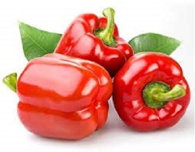 CYBEXIS LX-98 - Hybrid Red Capsicum - (1350 Seeds) Seed(1350 per packet)