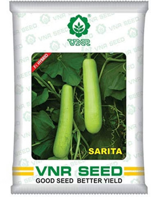 HYBRID 50g, hybrid bottle gourd VNR sigment seeds highest yield Verity early fruiting Seed(50 g)