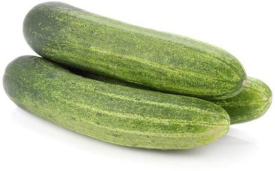 Qausain Cucumber Seeds Seed(1 per packet)