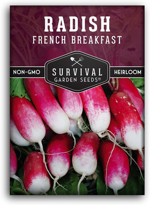 VibeX TLX-75 - French Breakfast Radish - (750 Seeds) Seed(750 per packet)